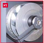 microplus1.bmp microplus1.bmp