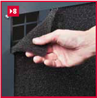 microplus8.bmp microplus8.bmp